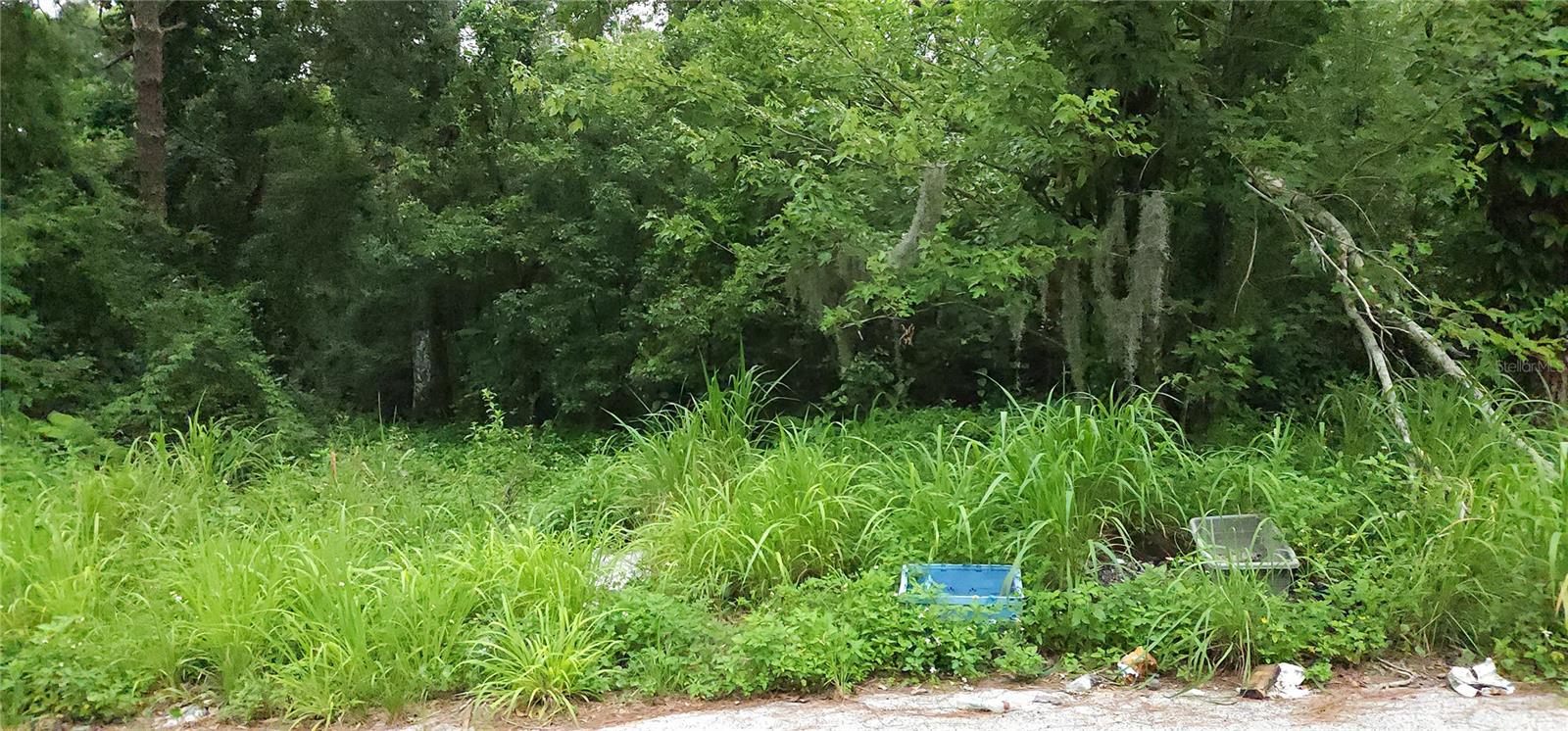 Details for  Park Avenue , SANFORD, FL 32771