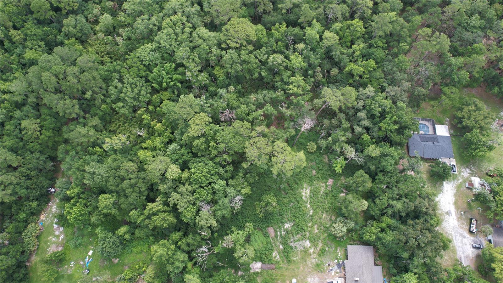 Image 8 of 19 For 680 Longwood Lake Mary Road