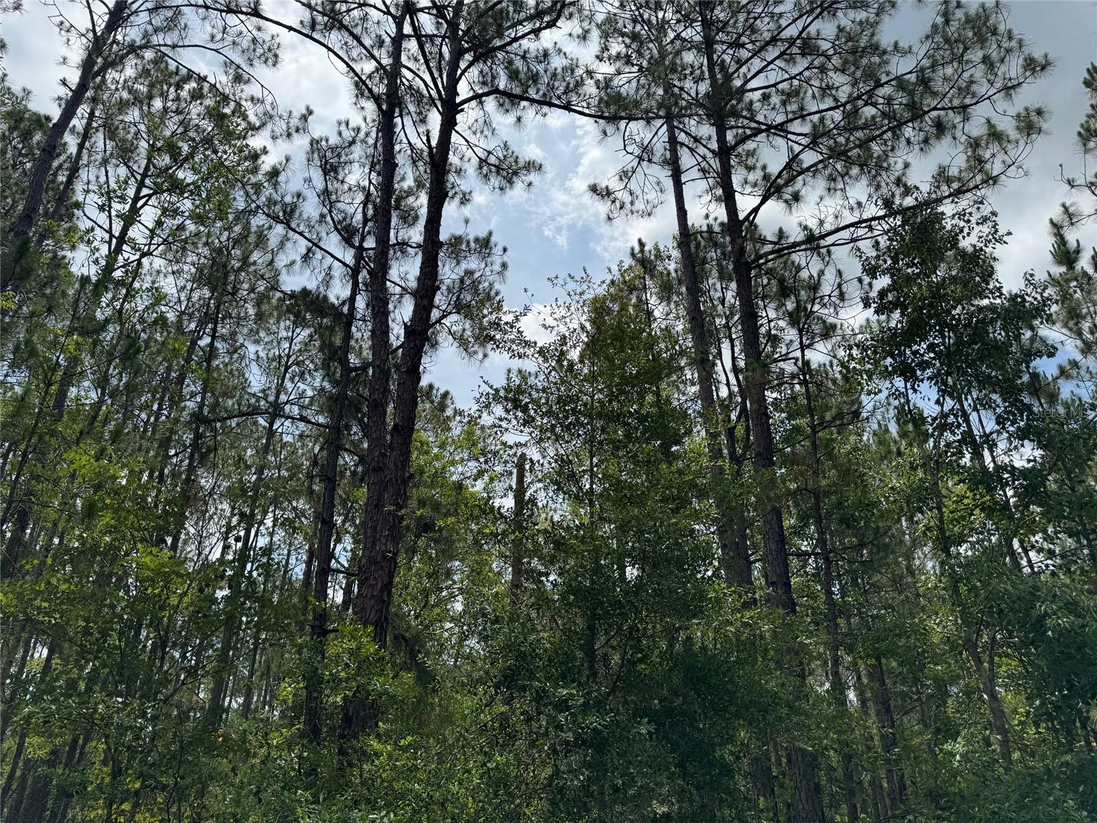 Details for  Havana Road , CLERMONT, FL 34714