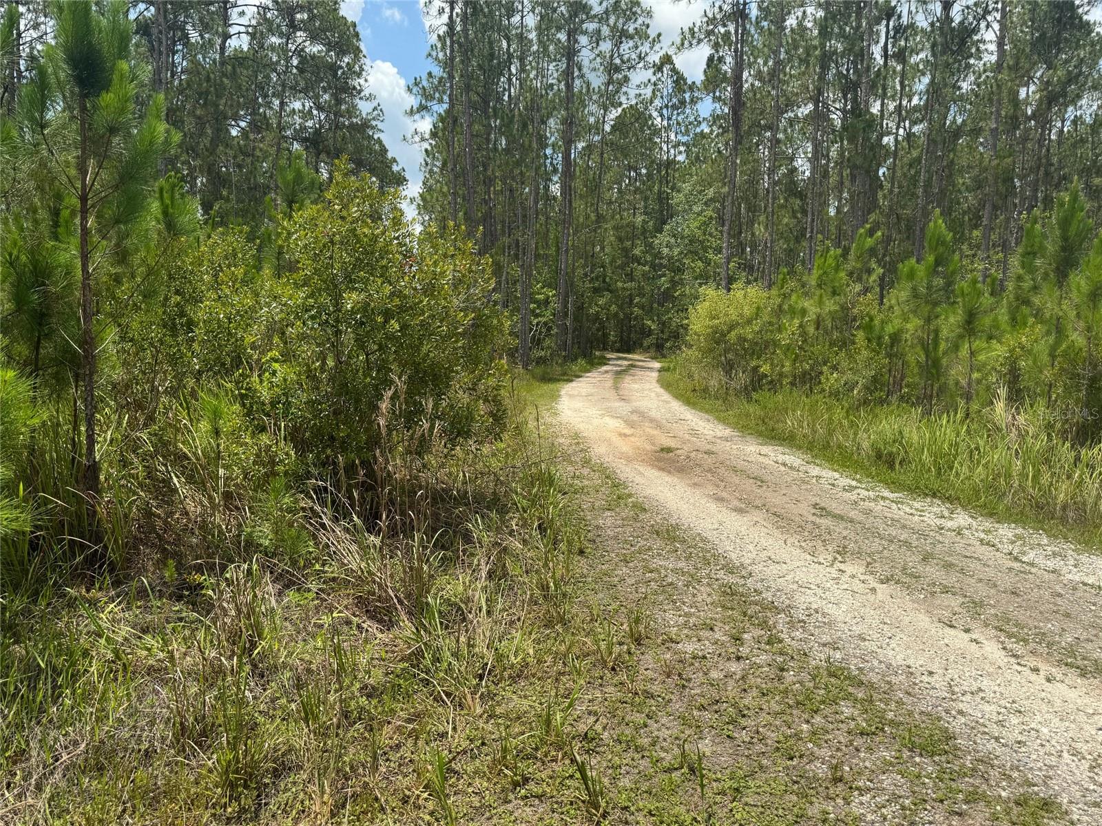 Image 3 of 10 For  Havana Road 
