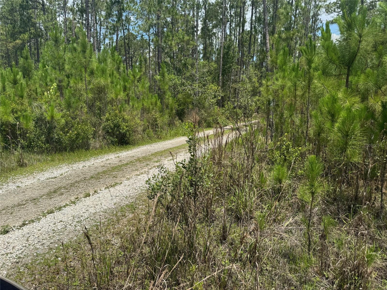 Image 4 of 10 For  Havana Road 