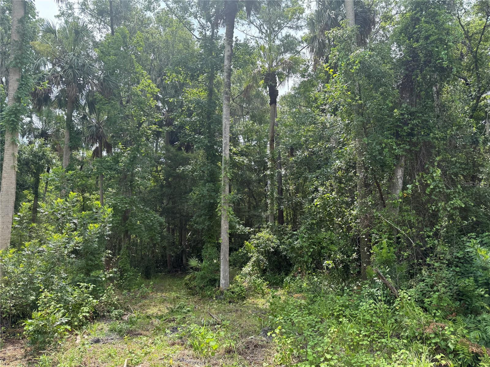 Image 2 of 5 For Okaloosa Trail