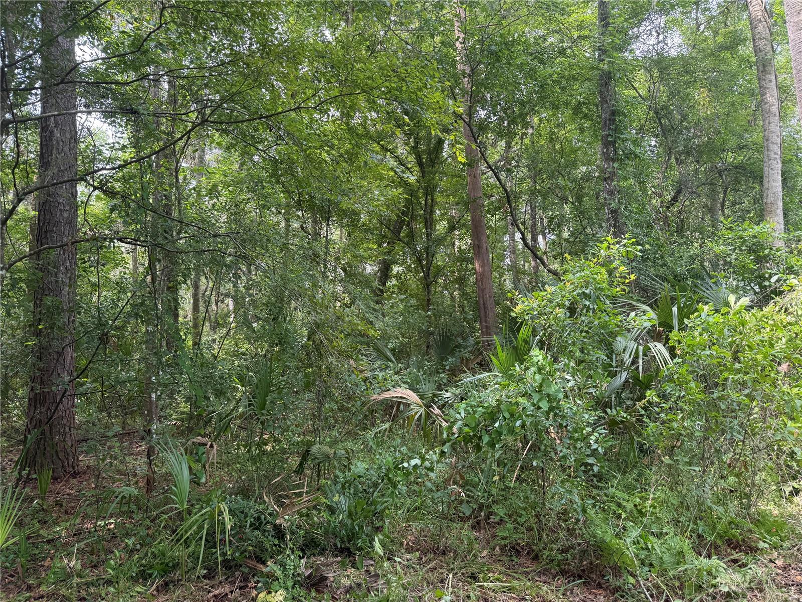 Image 3 of 5 For Okaloosa Trail