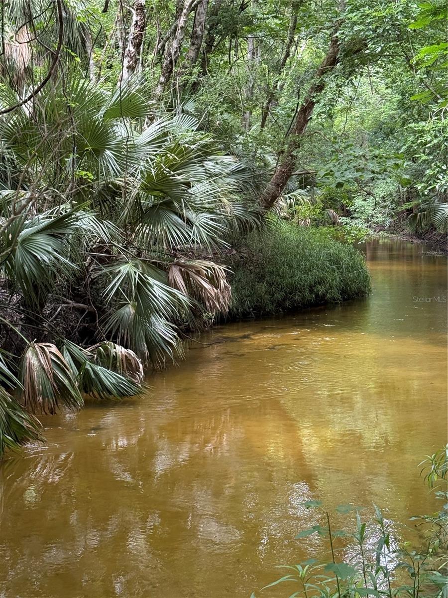 Image 4 of 5 For Okaloosa Trail