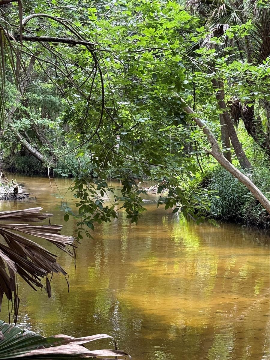 Image 5 of 5 For Okaloosa Trail