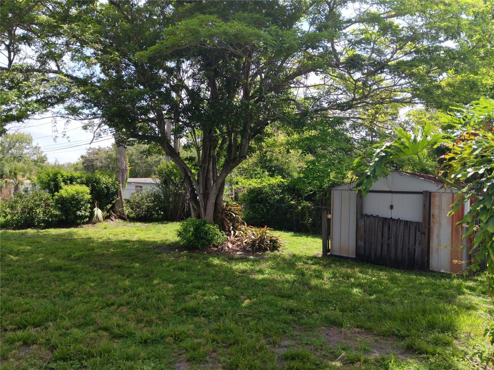 Image 11 of 13 For 2103 Mantilla Avenue