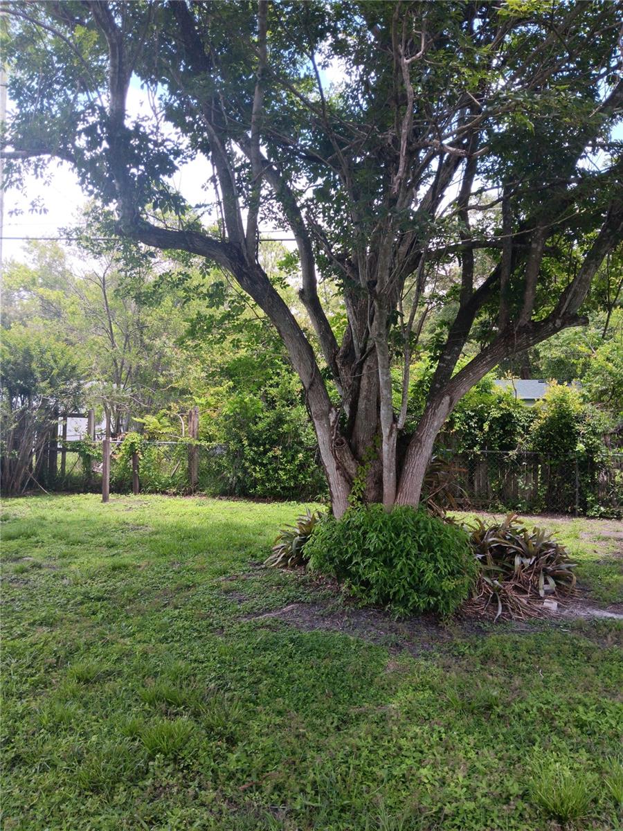 Image 16 of 16 For 2103 Mantilla Avenue