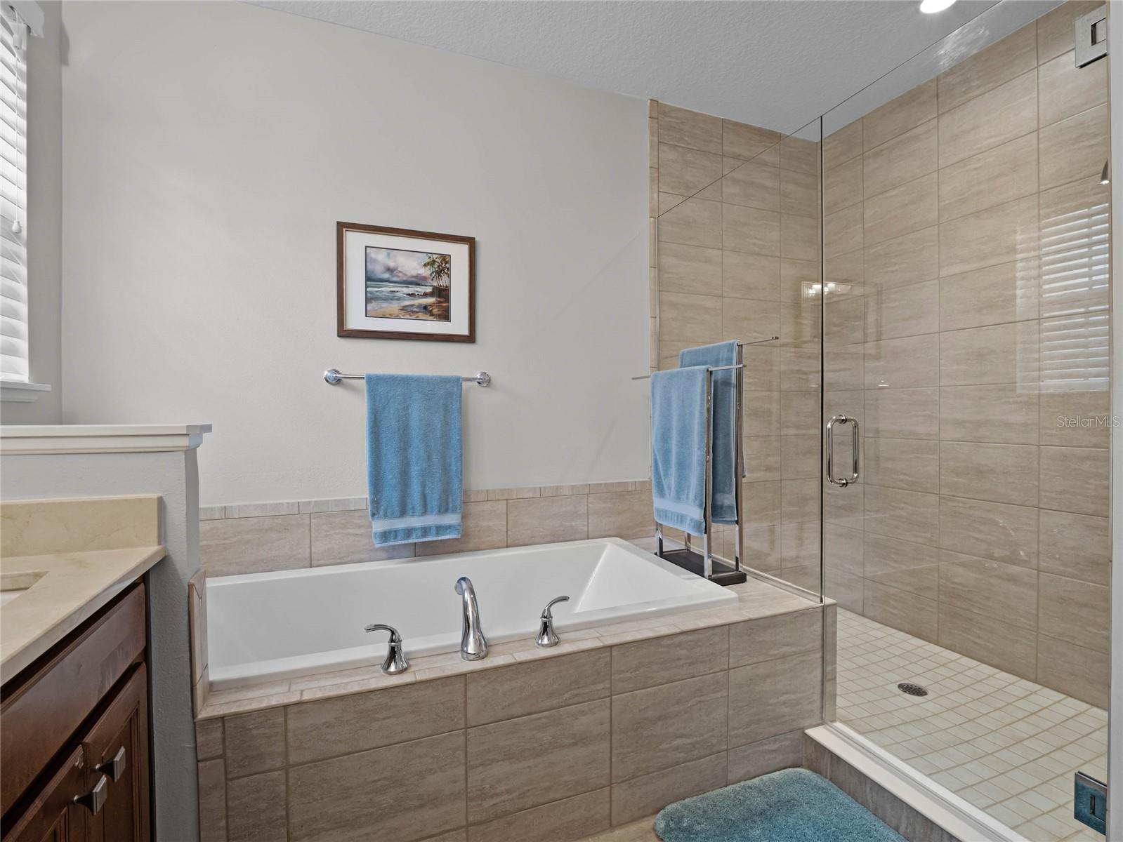 Image 23 of 44 For 8818 Bismarck Palm Drive