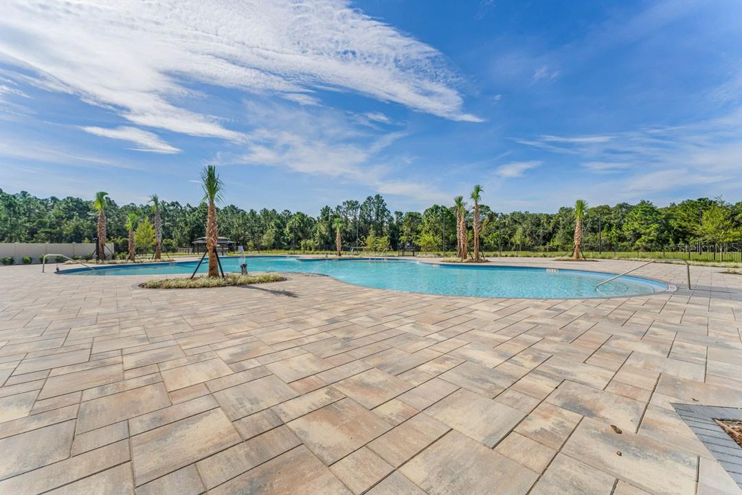 Image 53 of 60 For 2909 Elio Hammock Drive