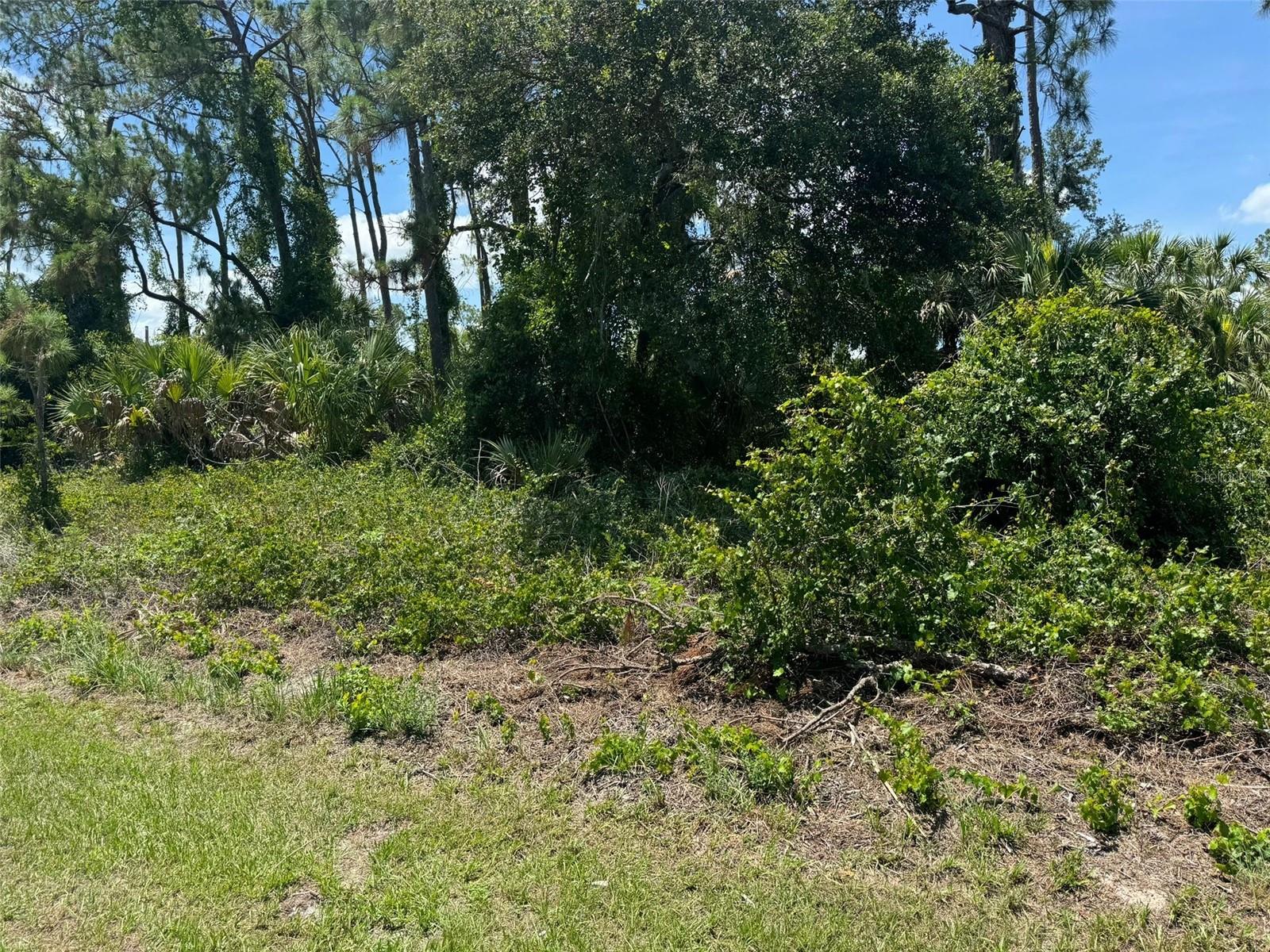 Listing Details for 135th Street Road  20, OCALA, FL 34473