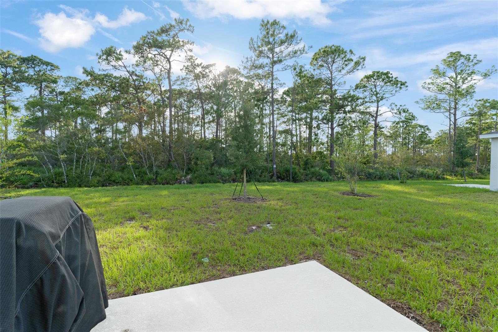 Image 34 of 39 For 3941 Willowbrook Drive