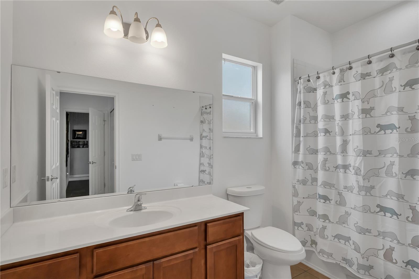 Image 45 of 66 For 391 Cabello Drive