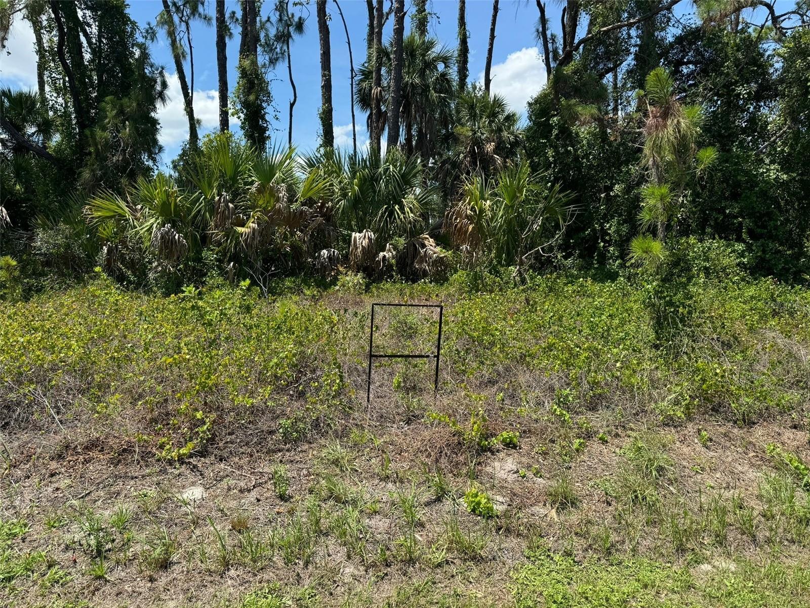 Image 4 of 4 For * Namatka Avenue 21