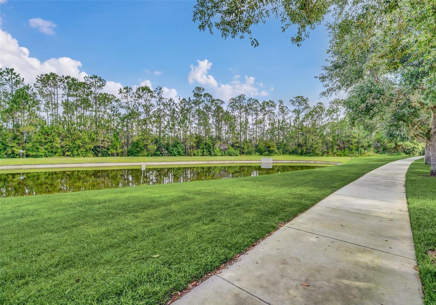 Image 31 of 43 For 15483 Avenue Of The Arbors