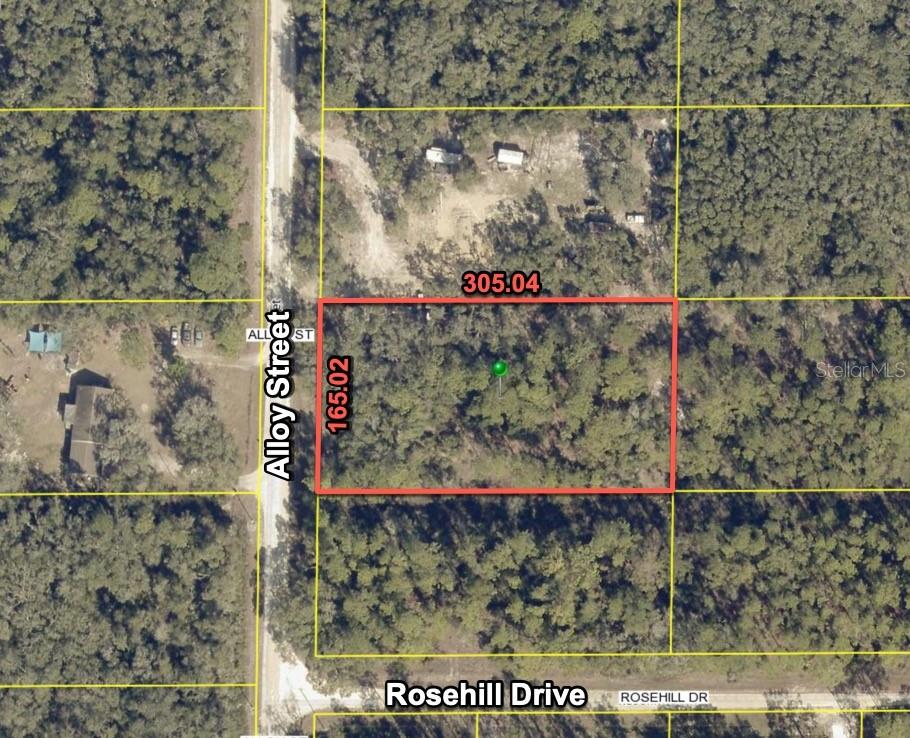 Details for 7374 Alloy Street, WEBSTER, FL 33597