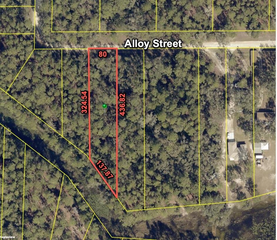 Details for 7255 Alloy Street, WEBSTER, FL 33597
