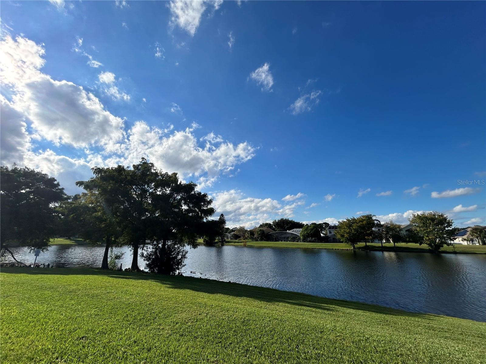 Image 67 of 80 For 12801 Ben Rogers Court