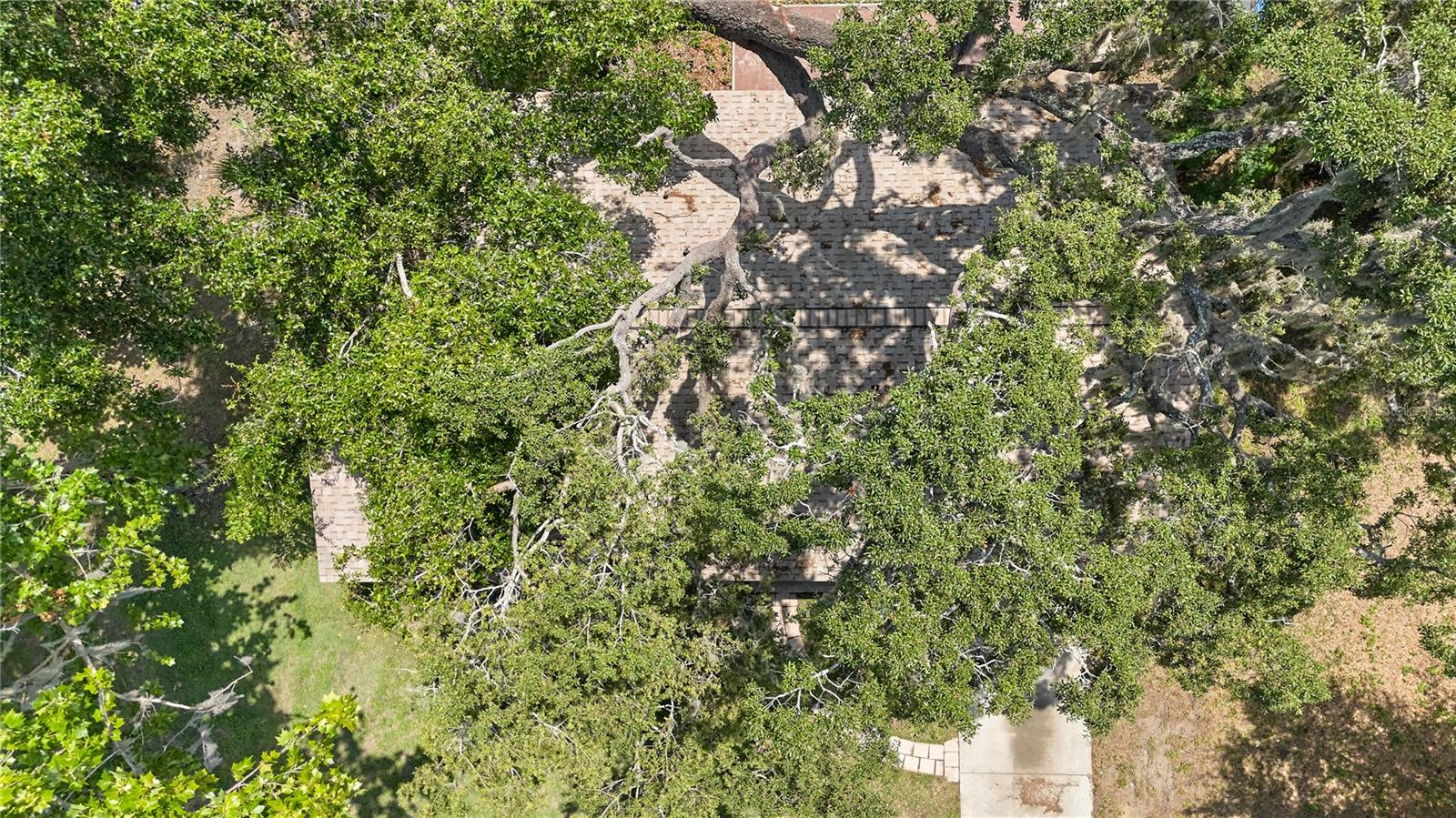 Image 46 of 49 For 881 Cedar Circle