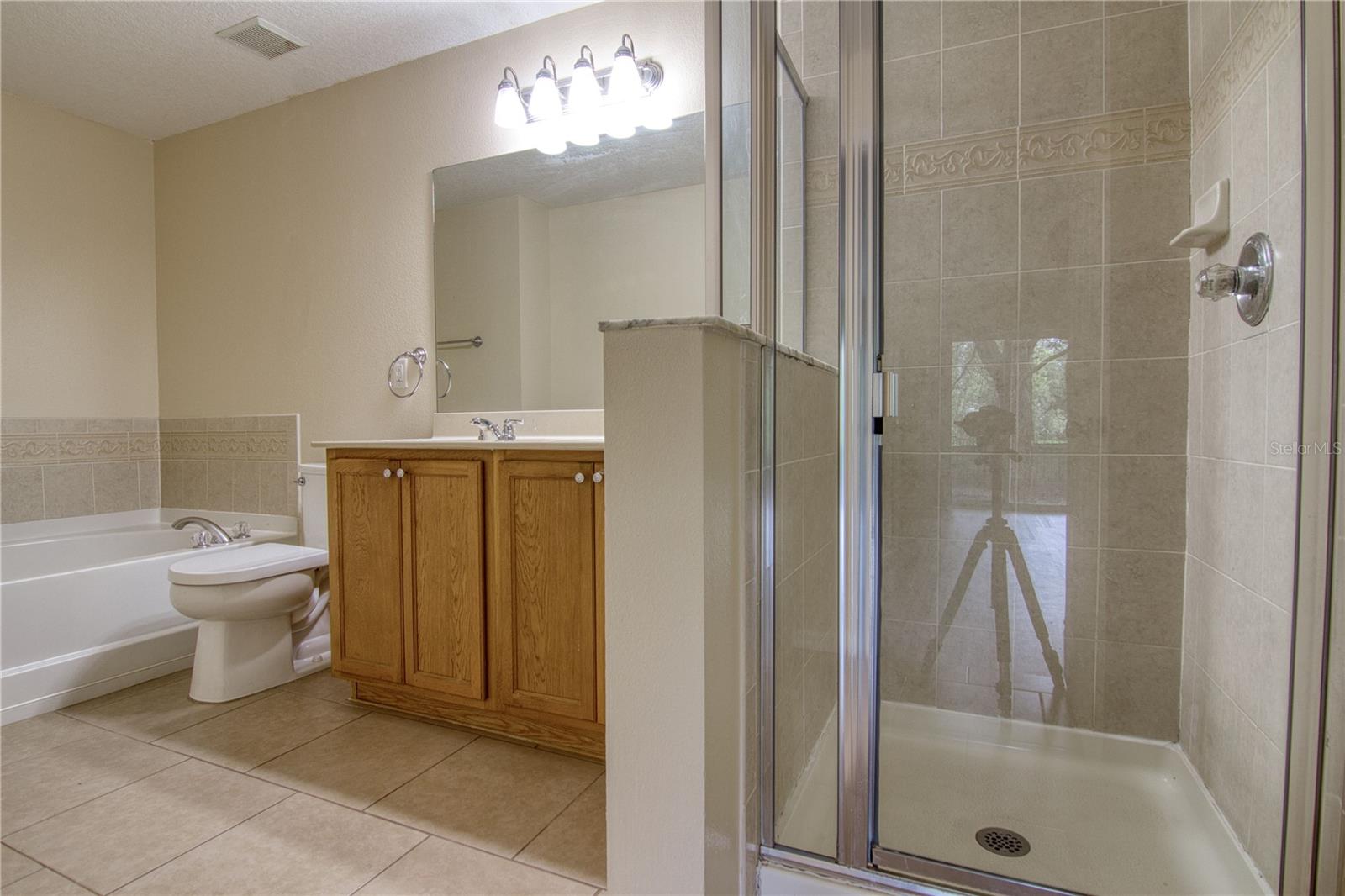 Image 19 of 21 For 16829 Gold Star Court
