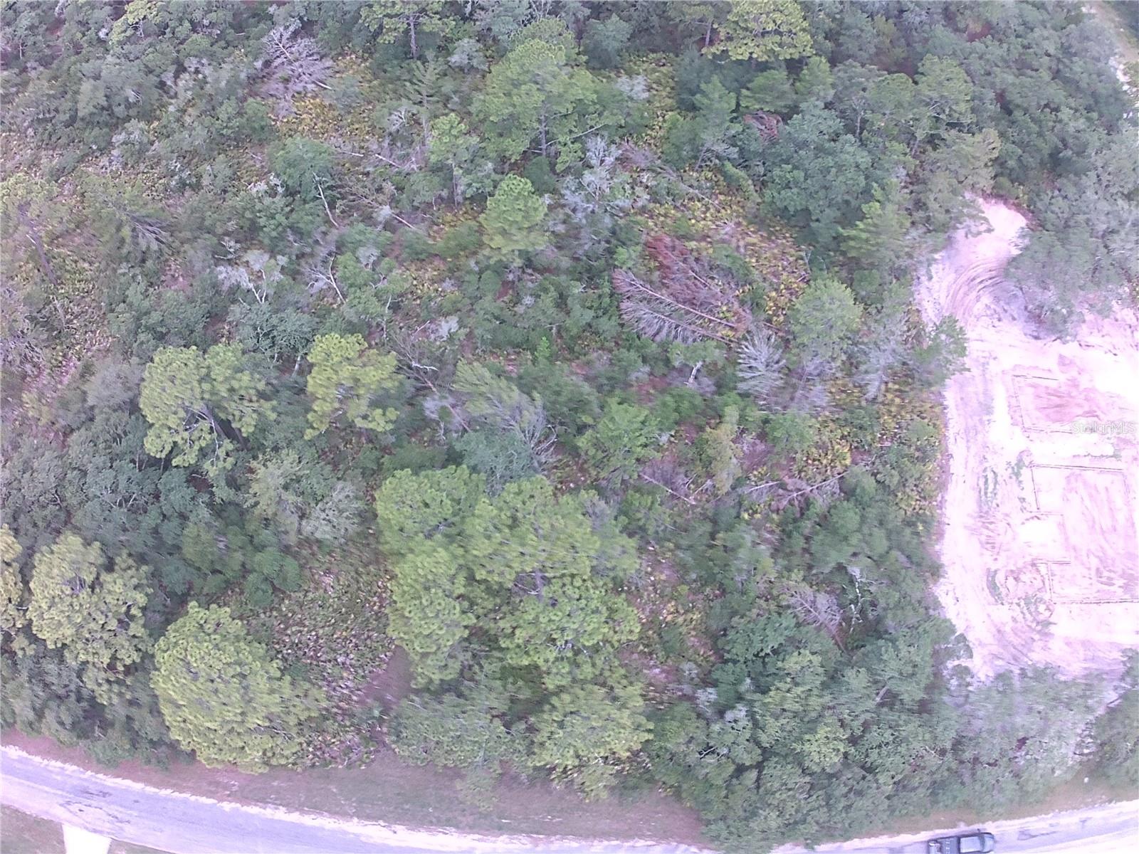 Image 3 of 4 For Cashew Court