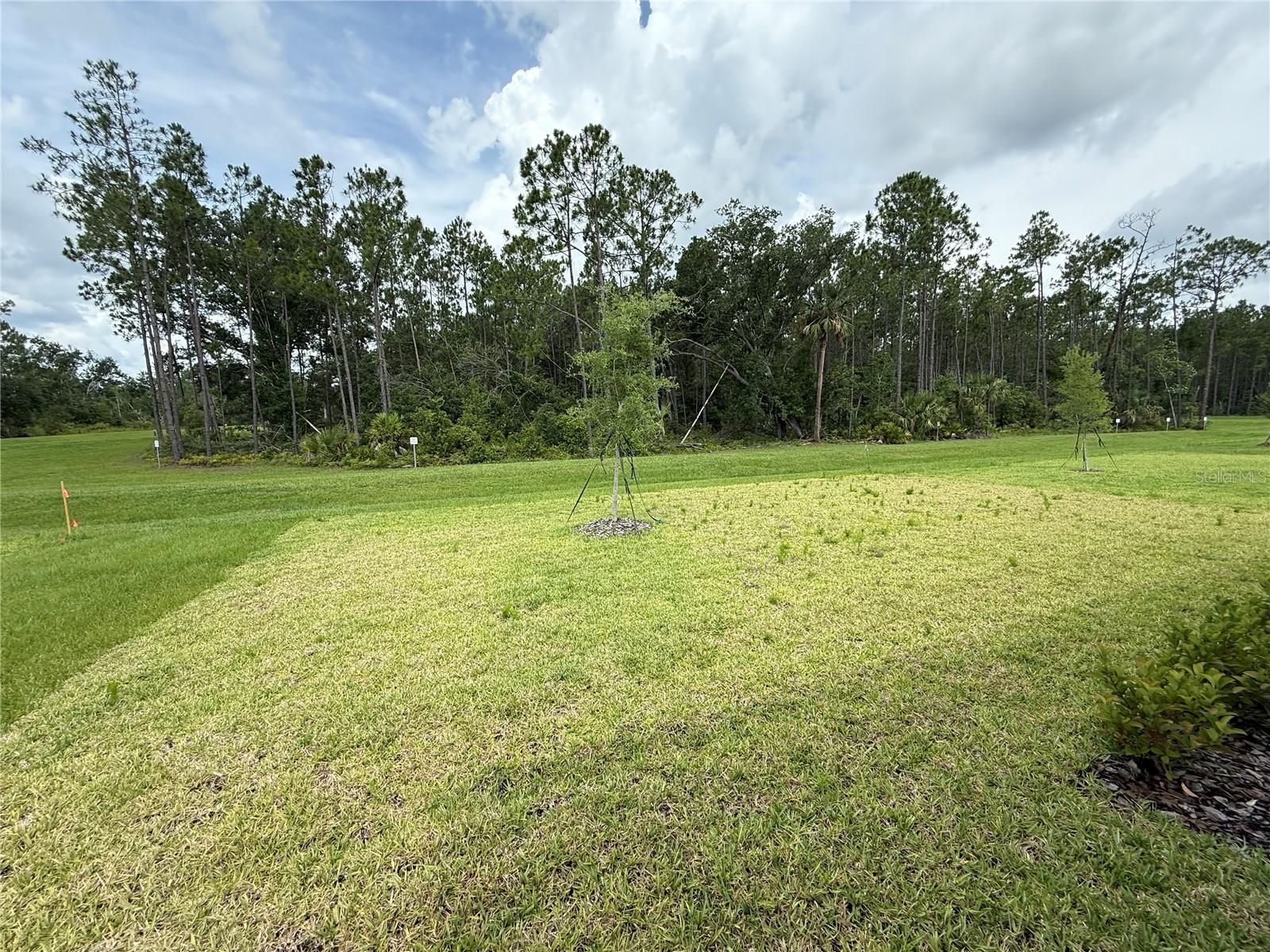 Image 2 of 17 For 368 Birkdale Drive