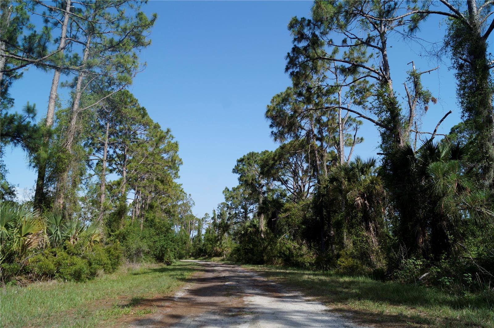 Image 10 of 24 For Lots 14 And 15 Constitution Drive