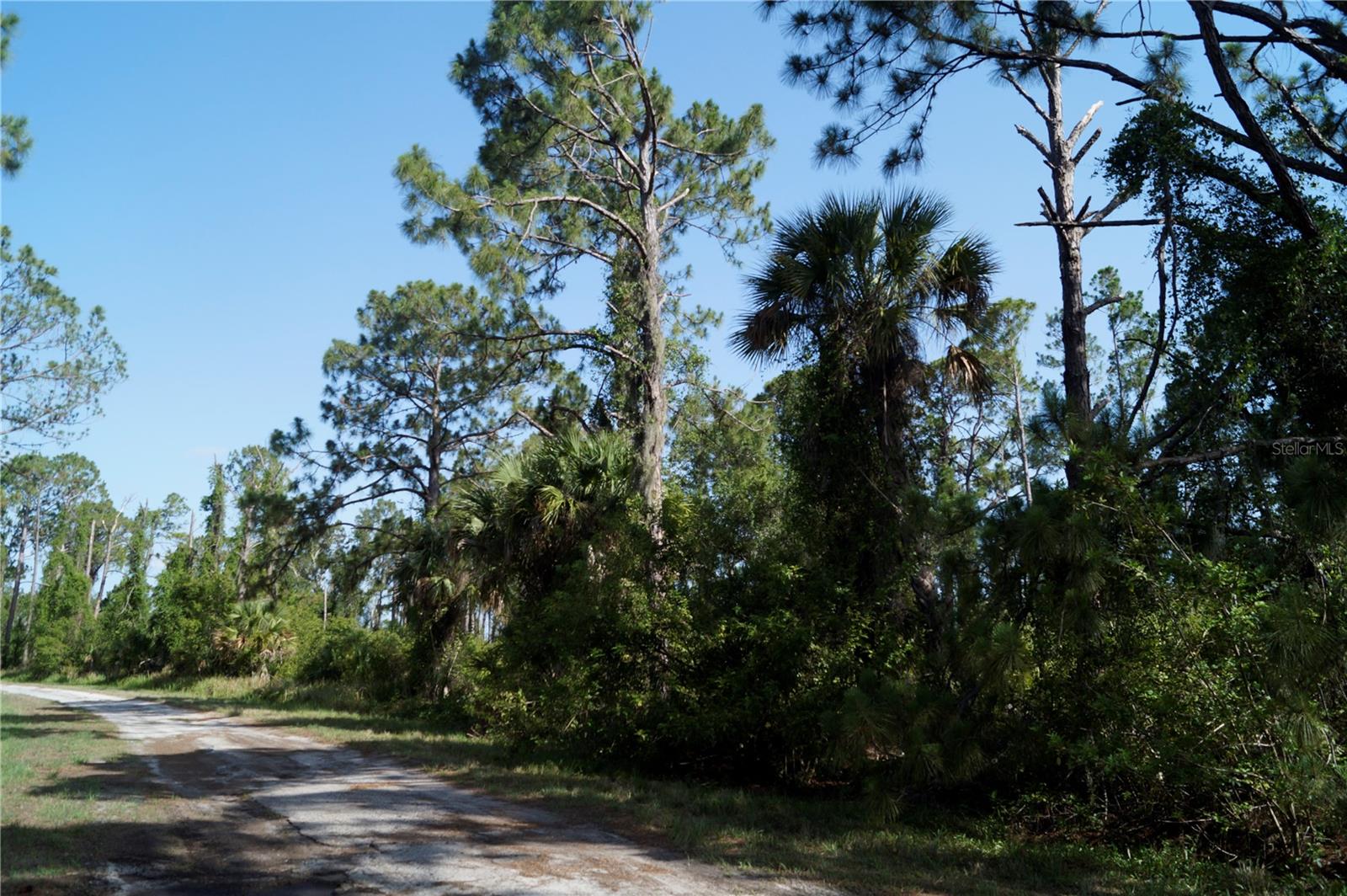 Image 9 of 24 For Lots 14 And 15 Constitution Drive