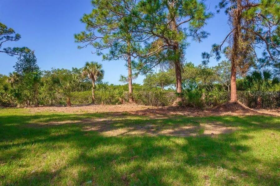 Image 10 of 14 For 10131 Eagle Preserve Drive