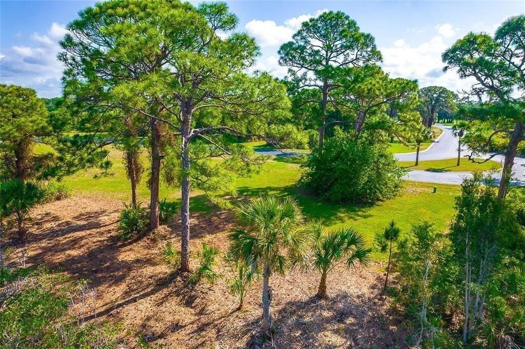 Image 11 of 14 For 10131 Eagle Preserve Drive