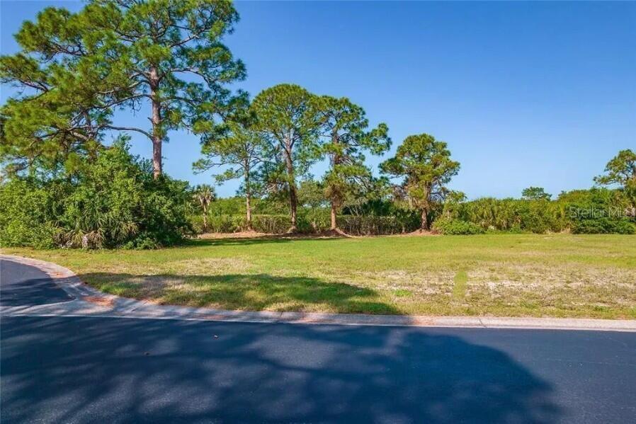 Image 8 of 14 For 10131 Eagle Preserve Drive