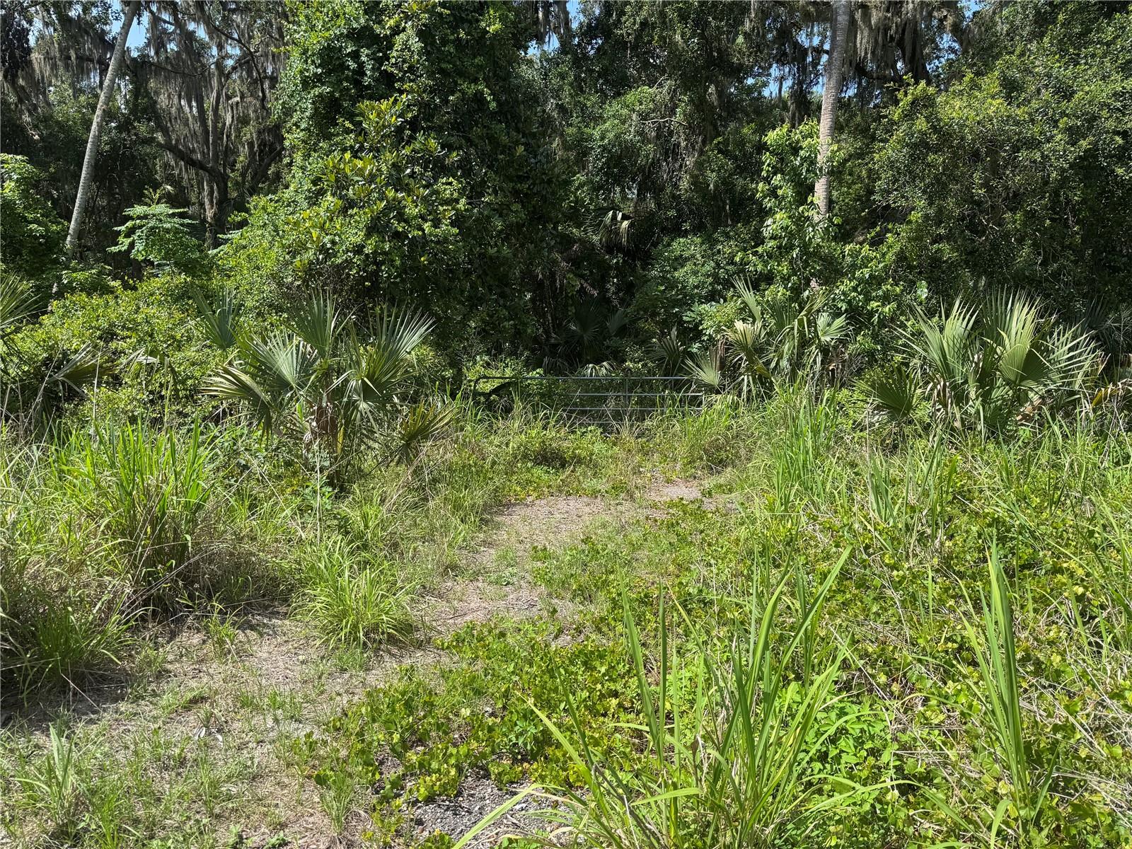 Image 39 of 48 For 2165 Enterprise Osteen Road