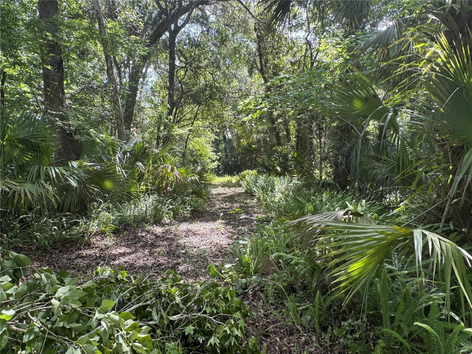 Image 43 of 48 For 2165 Enterprise Osteen Road