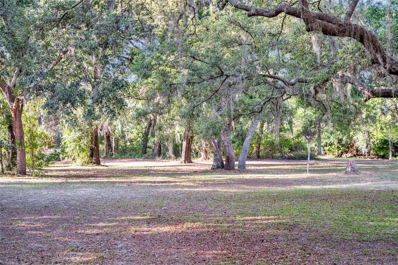 Image 60 of 69 For 3915 Spaniel Trail