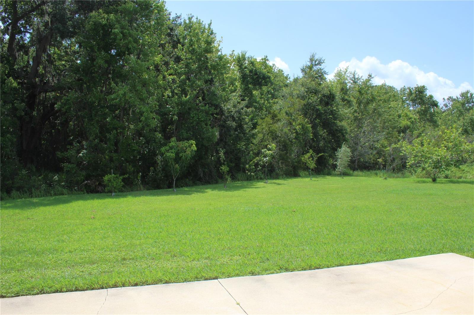 Image 69 of 89 For 2543 Chapala Drive