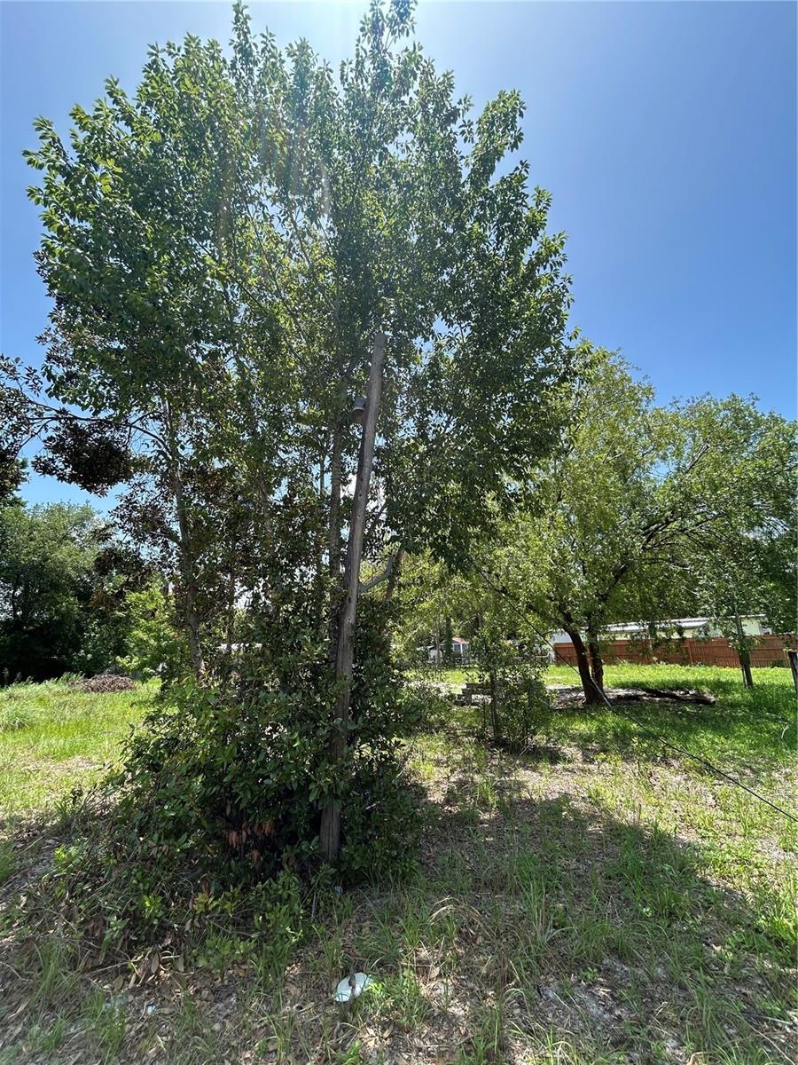 Image 6 of 10 For 42100 Ash Avenue