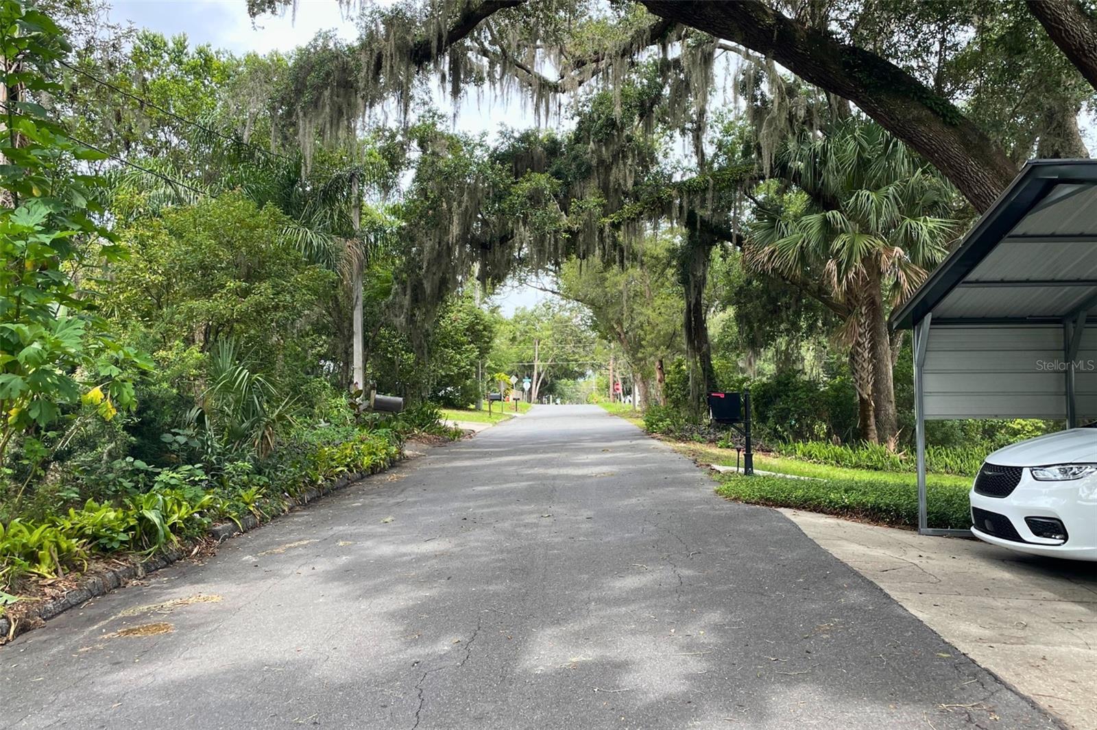 Image 34 of 36 For 1335 3rd Avenue