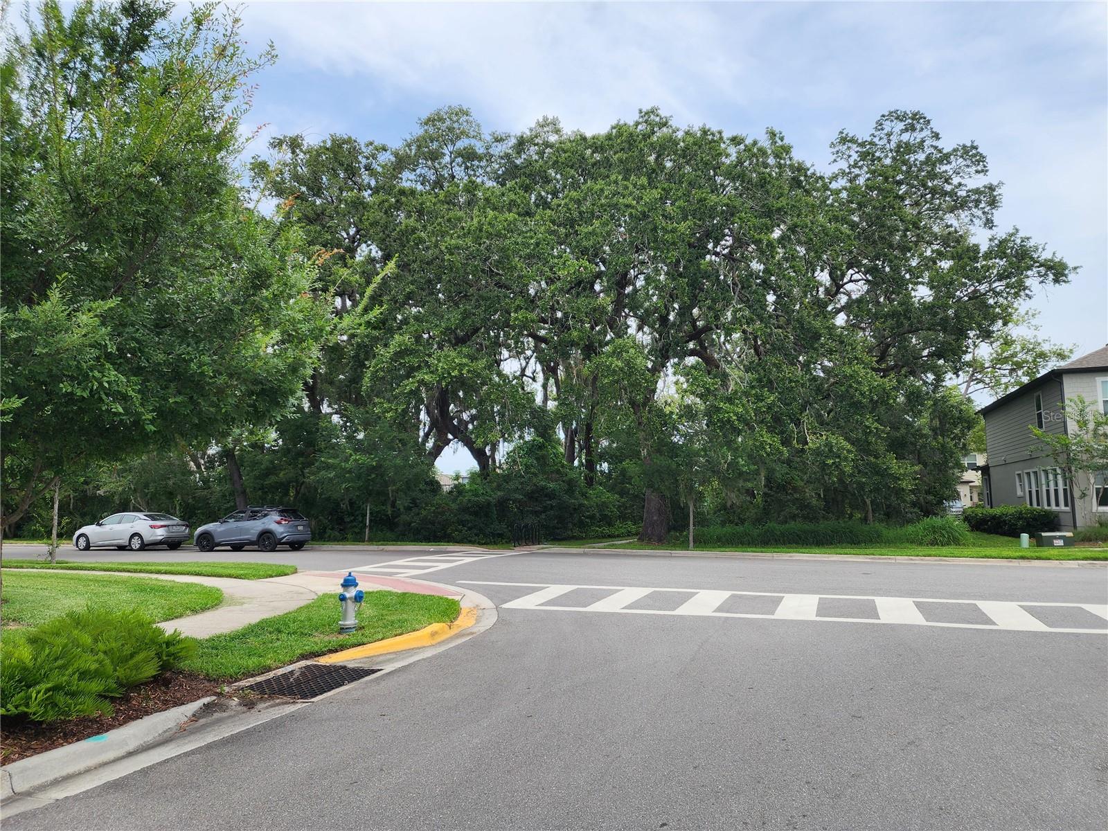 Image 30 of 30 For 3248 Merton Alley