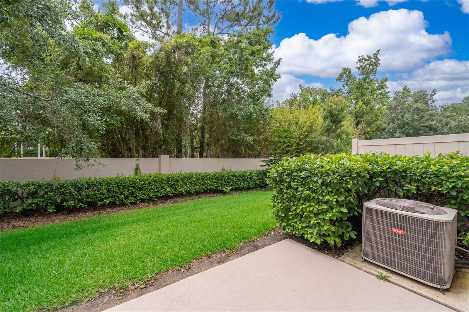 Image 22 of 25 For 156 Canterbury Bell Drive