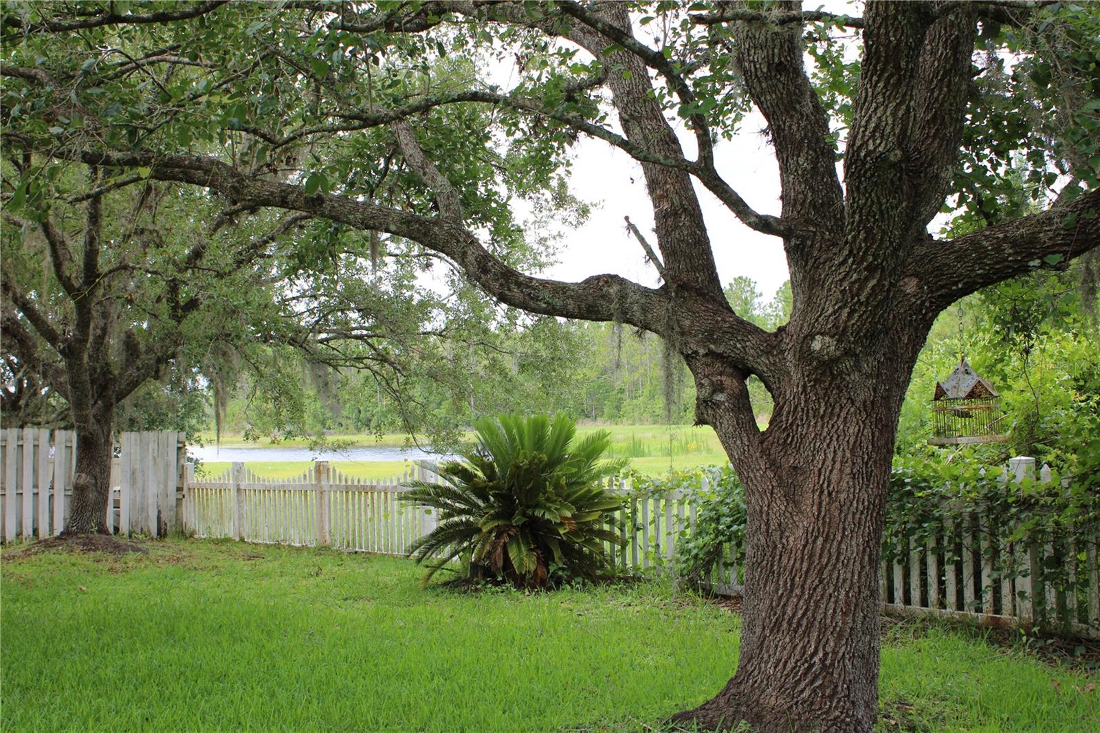 Image 22 of 22 For 1868 Hammock Moss Dr