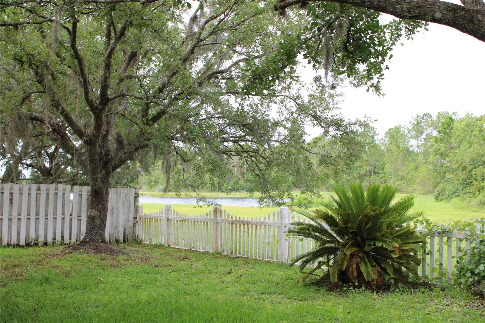 Image 3 of 22 For 1868 Hammock Moss Dr