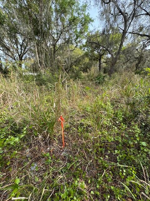 Image 6 of 6 For  Cr-48  
