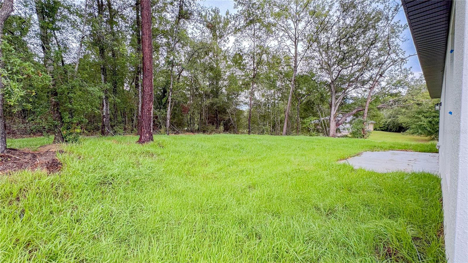 Listing photo id 41 for 2498 Magenta Drive