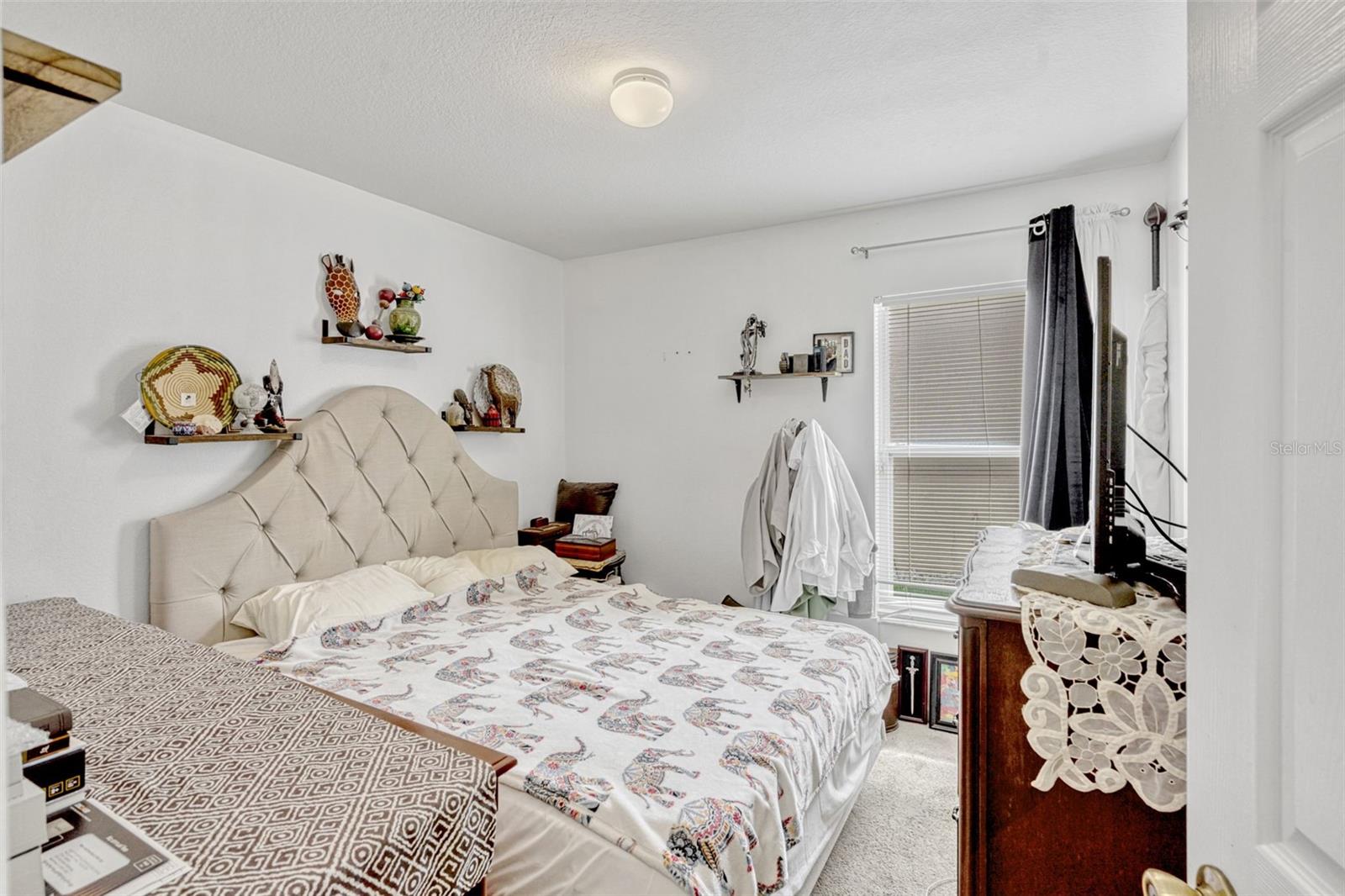 Image 19 of 34 For 8152 Fan Palm Way