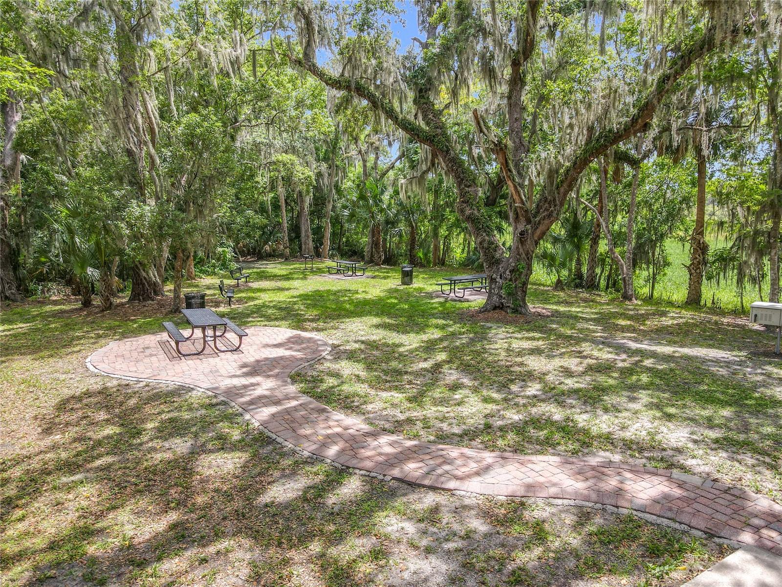 Image 41 of 41 For 169 Verde Way