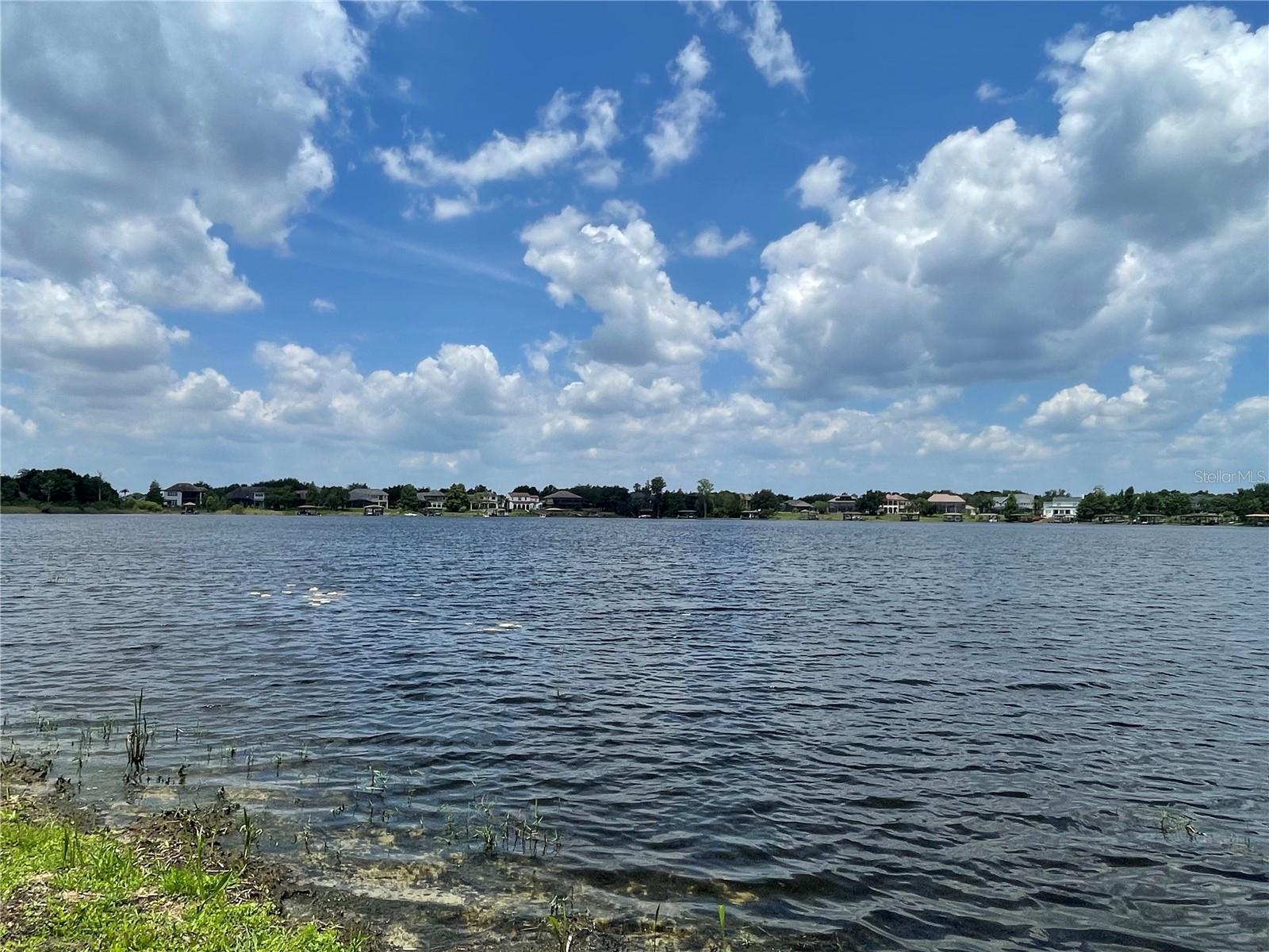 Image 41 of 50 For 12860 Lake Sawyer Lane