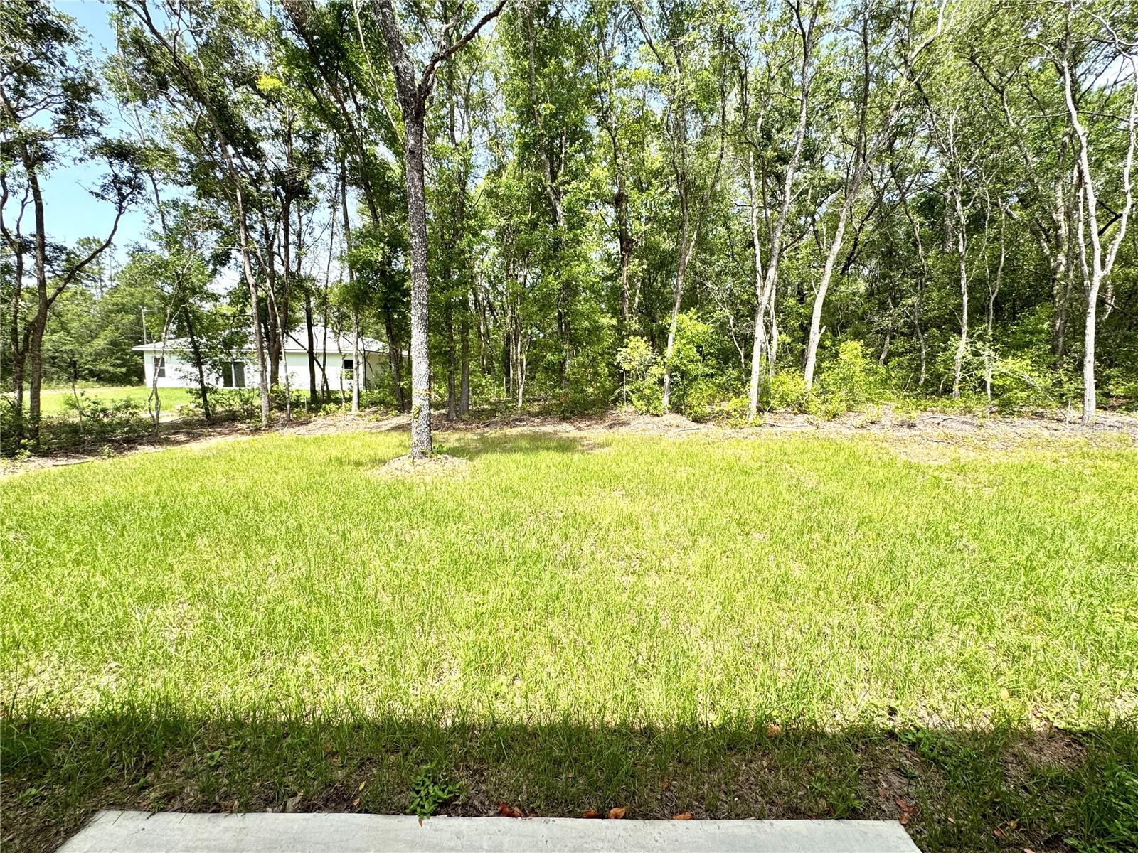 Listing photo id 25 for 10616 Didiscus Drive