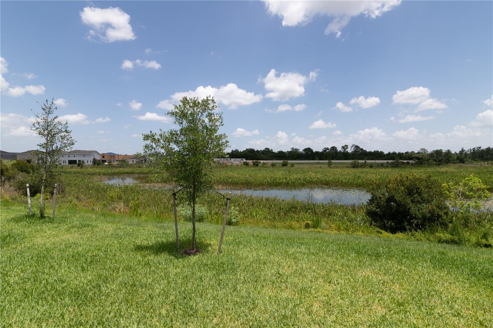 Image 31 of 34 For 1251 Island Slough Lane