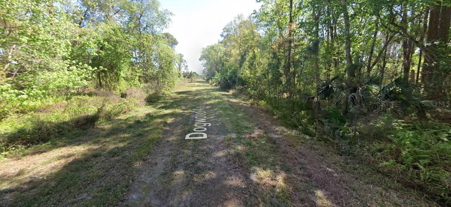Details for 423 Dogwood Avenue, GEORGETOWN, FL 32139