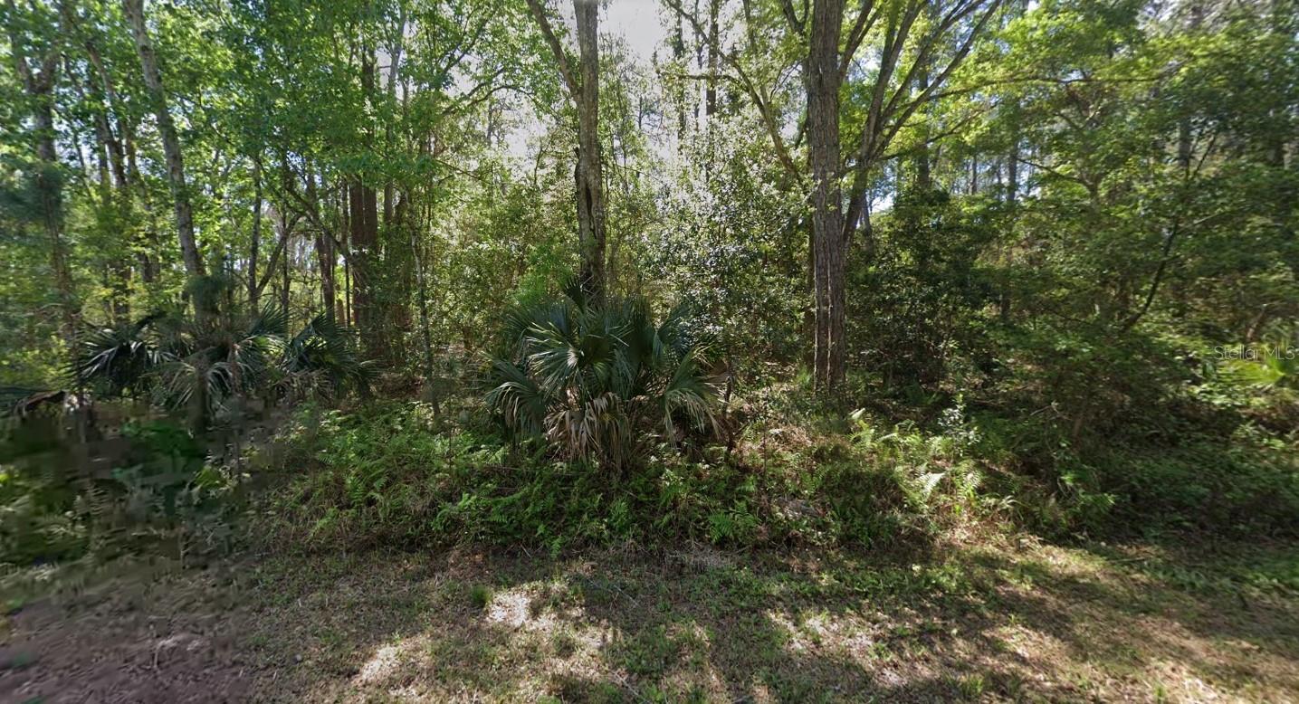 Image 2 of 10 For 423 Dogwood Avenue