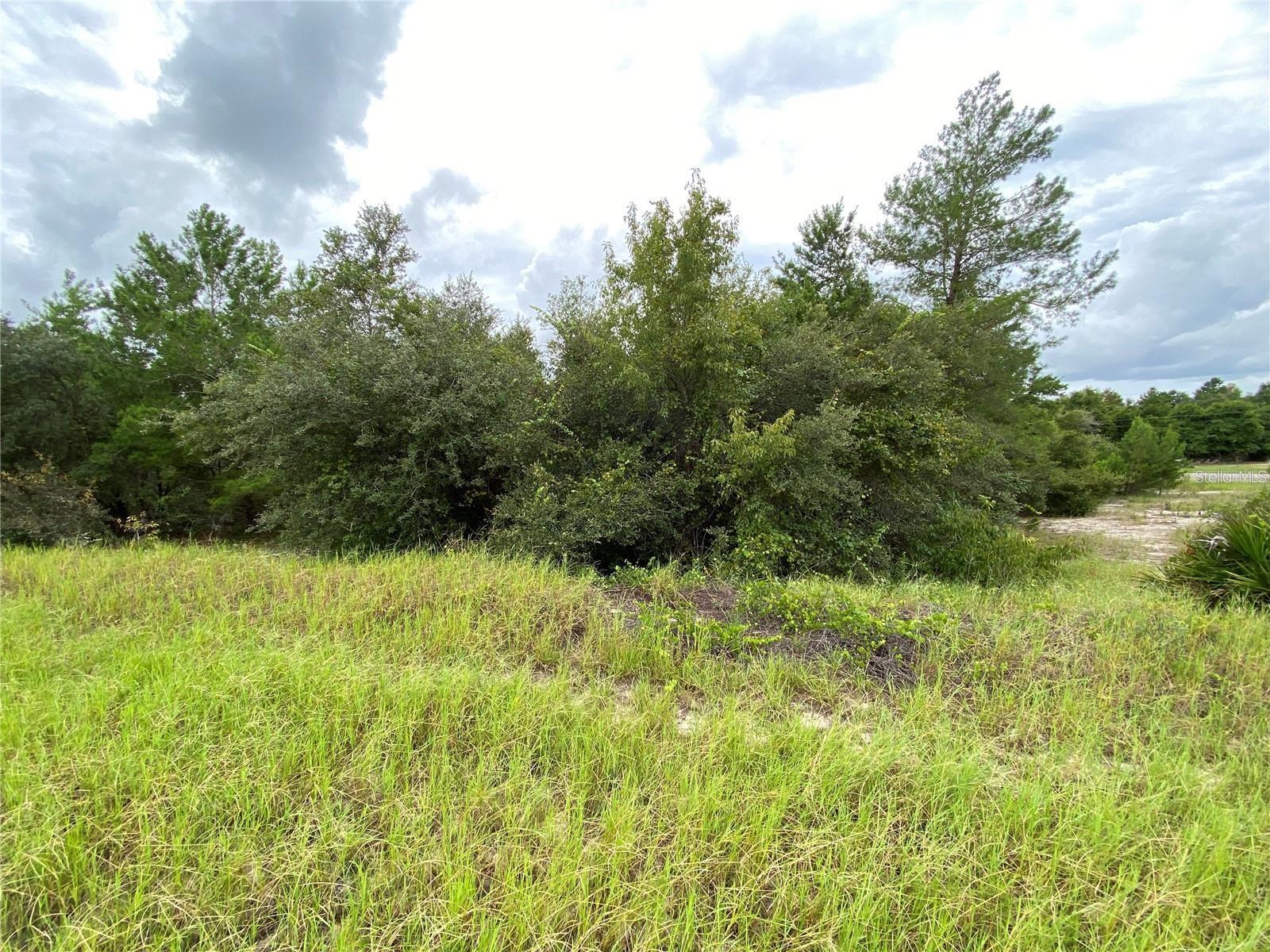 Details for 1362 Homosassa Drive, KISSIMMEE, FL 34759